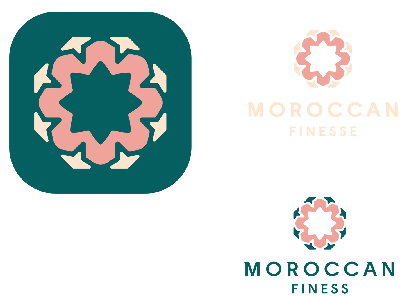 Moroccan Finesse project artwork