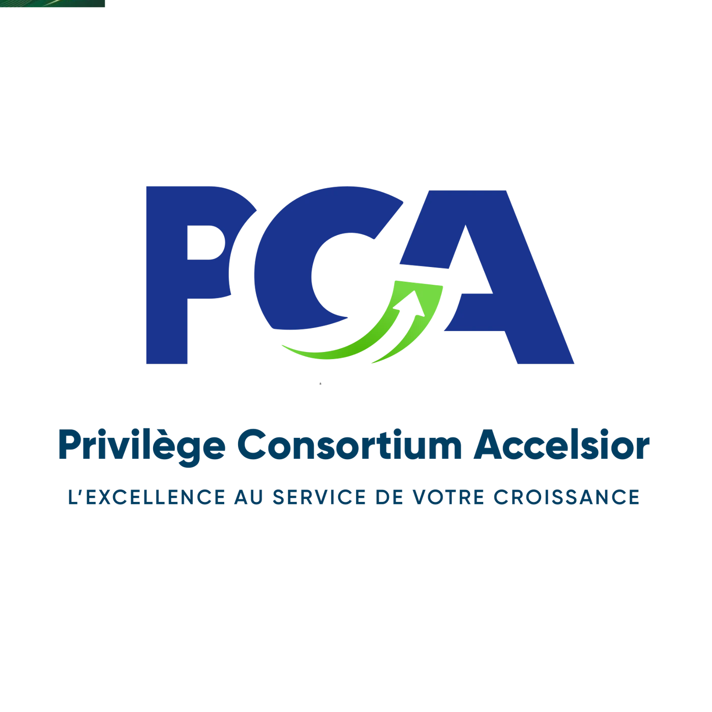 Privilege Consortium project artwork