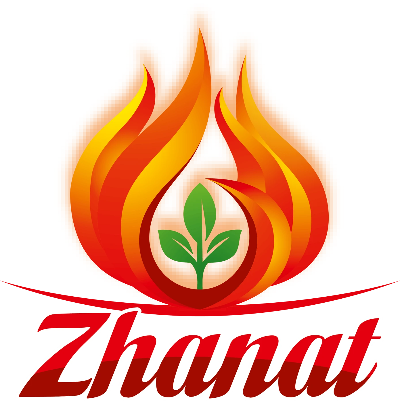 Zhanat project artwork
